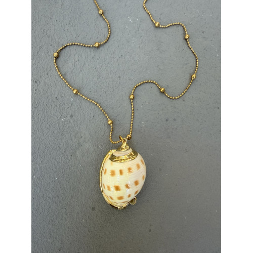 Κολιέ “Aurelia Shell”
