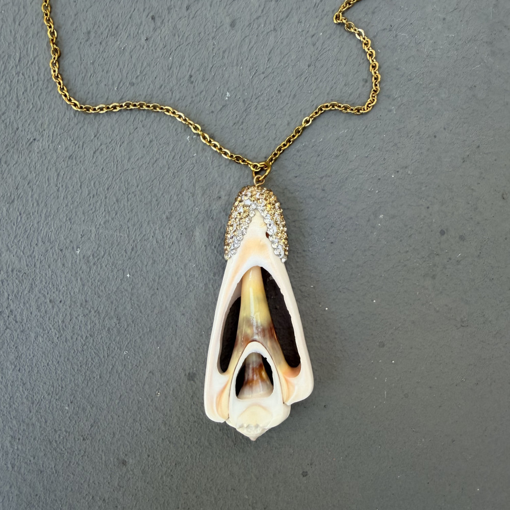 Calypso Shell Necklace μακρύ κολιέ με φυσικό κοχύλι και στρας