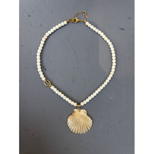 Κολι΄έ “Golden Shell”